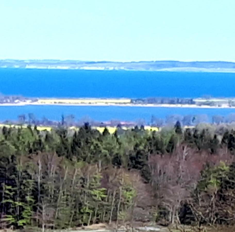 Seeblick Apartment